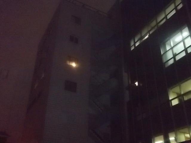 강남구신사동싸인 038.jpg